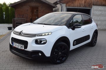 SHINE*Ledy*AppleCar*Klimatronic*Serwisowany*Niemcy*Nowy rozrząd